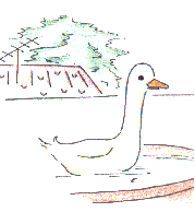 [drawing: Korean duck in Korean tub - S. Pint]