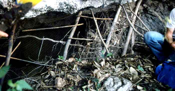 Cave entrance sealed with chicken wire